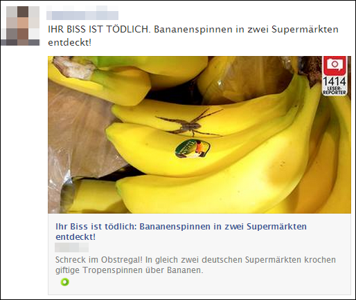Bananenspinne im Supermarkt entdeckt!