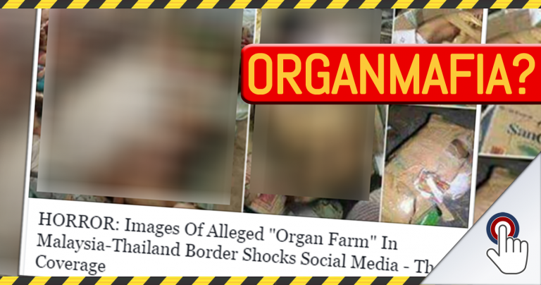 Organfarm und Organmafia in Malaysia?