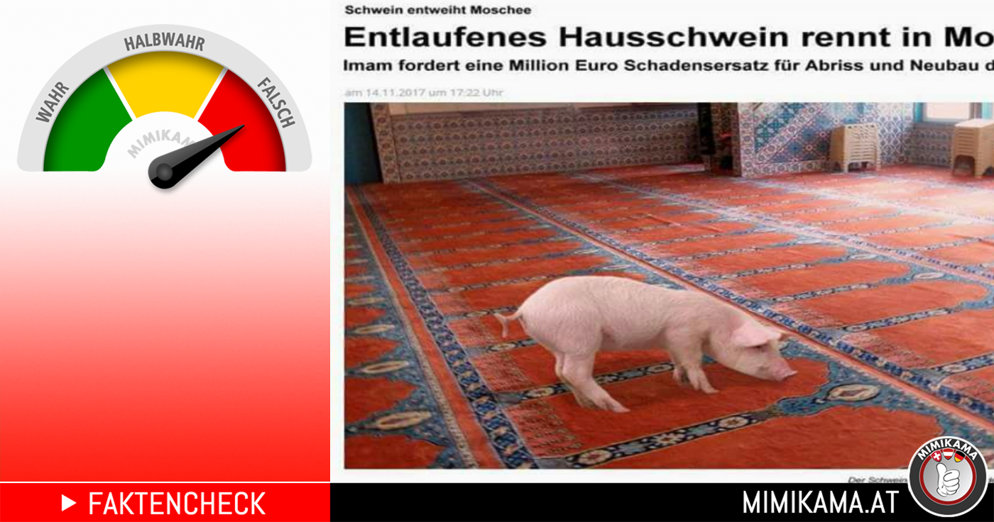Schwein In Moschee