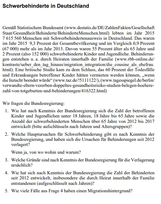 Screenshot: kleine Anfrage der AfD im Bundestag