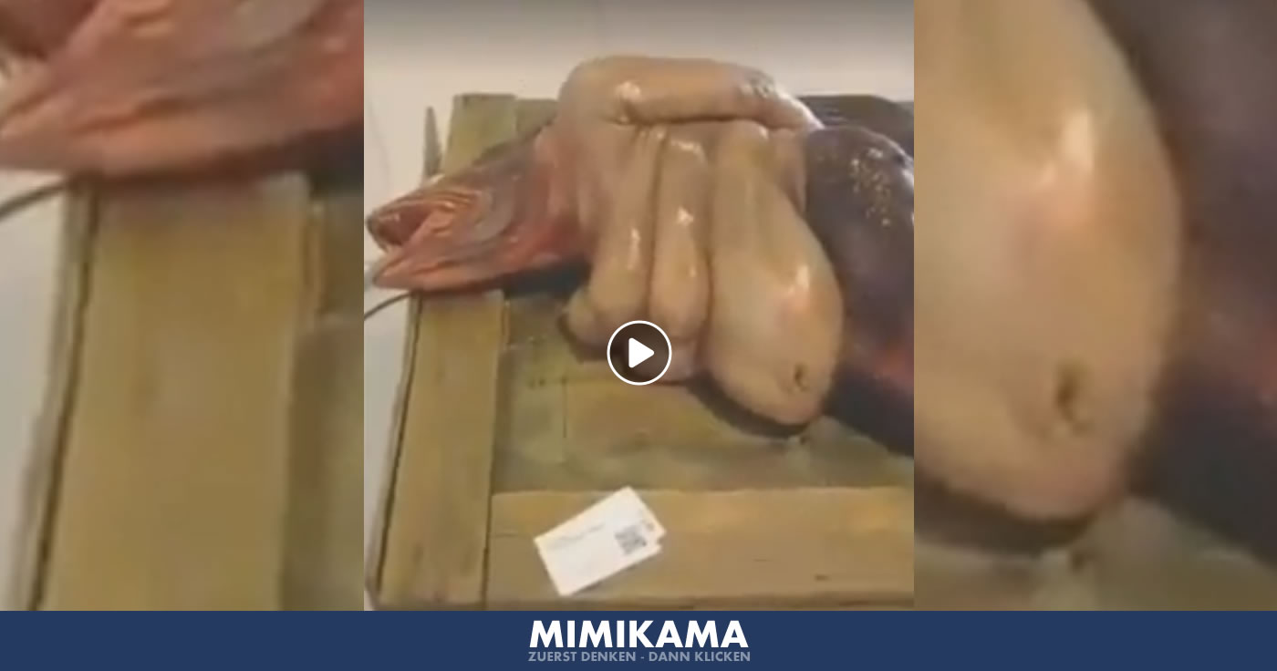 Diese Meerjungfrau, wurde angeblich in Vietnam aus dem Meer gefischt!