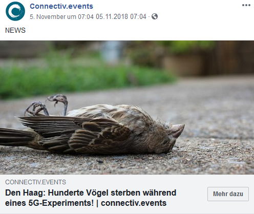 Bildergebnis für Vogelsterben den Haag