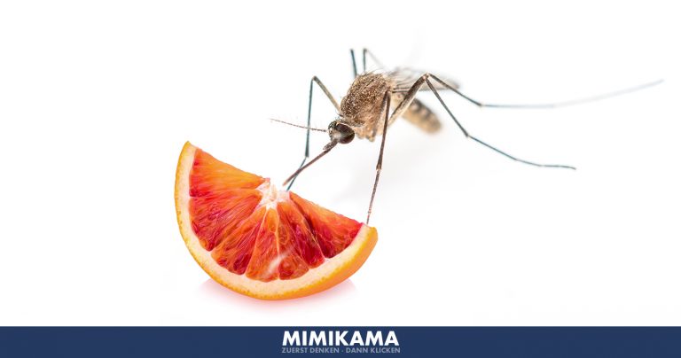 Alltagsmythos: Mücken lieben süßes Blut