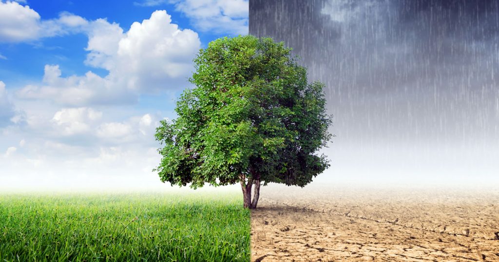 Was ist eigentlich der Unterschied zwischen Klima und Wetter? / Artikelbild: Shutterstock / Von 24Novembers
