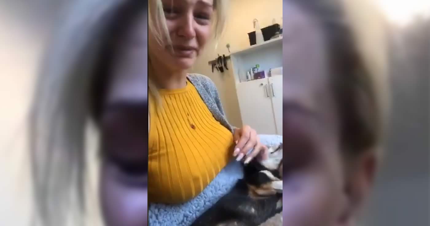 Das Video mit einer Frau und Ihrem toten Chihuahua aus Norwegen!