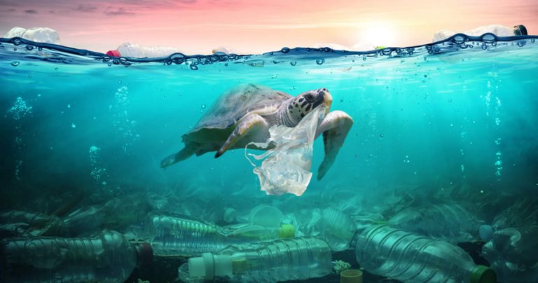 Faktencheck: Landen pro Minute 33.800 Plastikflaschen im Mittelmeer?