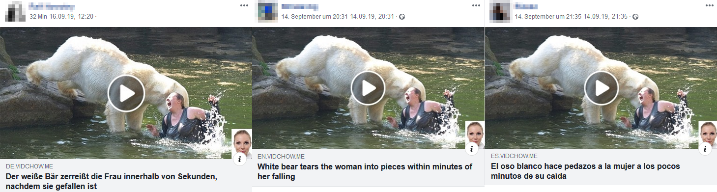 Weißer Bär Zerreißt Frau