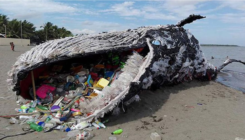 Dazu gibt es das Bild eines Wals zu sehen, dem Müll aus dem Maul quillt: