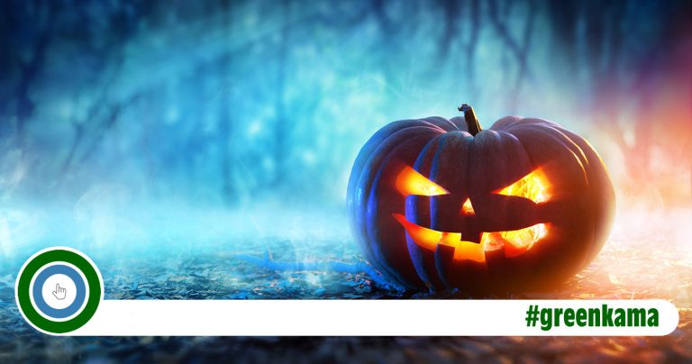 Halloween – Das Schaudern der fehlenden Nachhaltigkeit