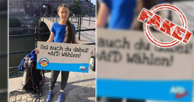 Nein, Greta Thunberg wirbt nicht für die AfD!