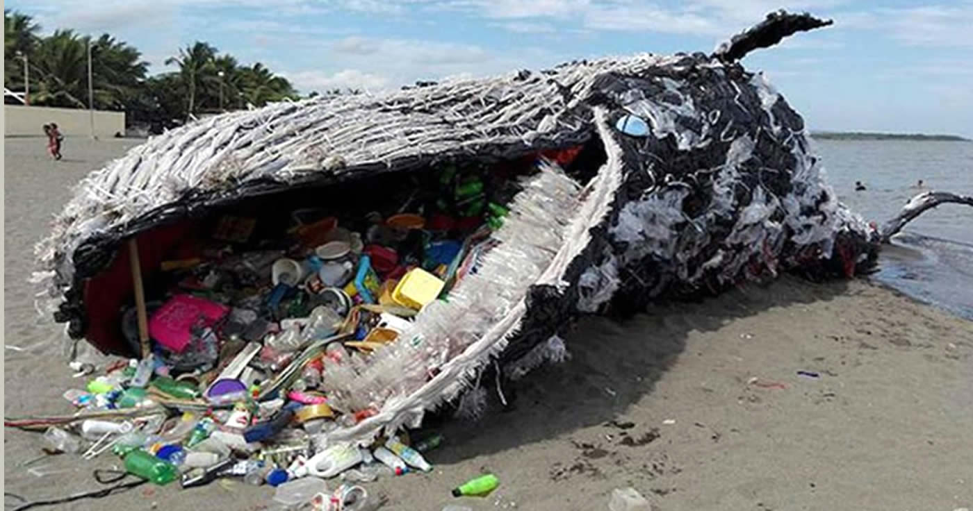 Faktencheck: Ein toter Wal am Strand auf den Philippinen.