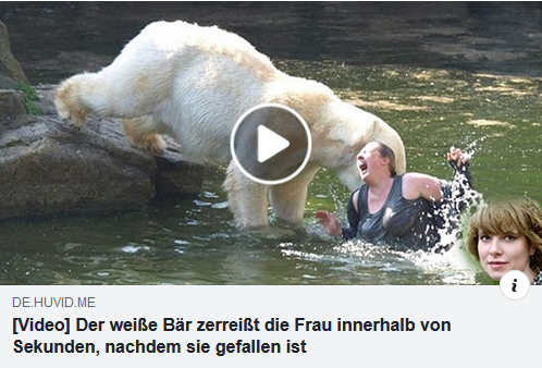Eisbär Tötet Frau