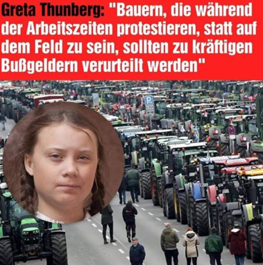 Das Sharepic mit Greta Thunberg