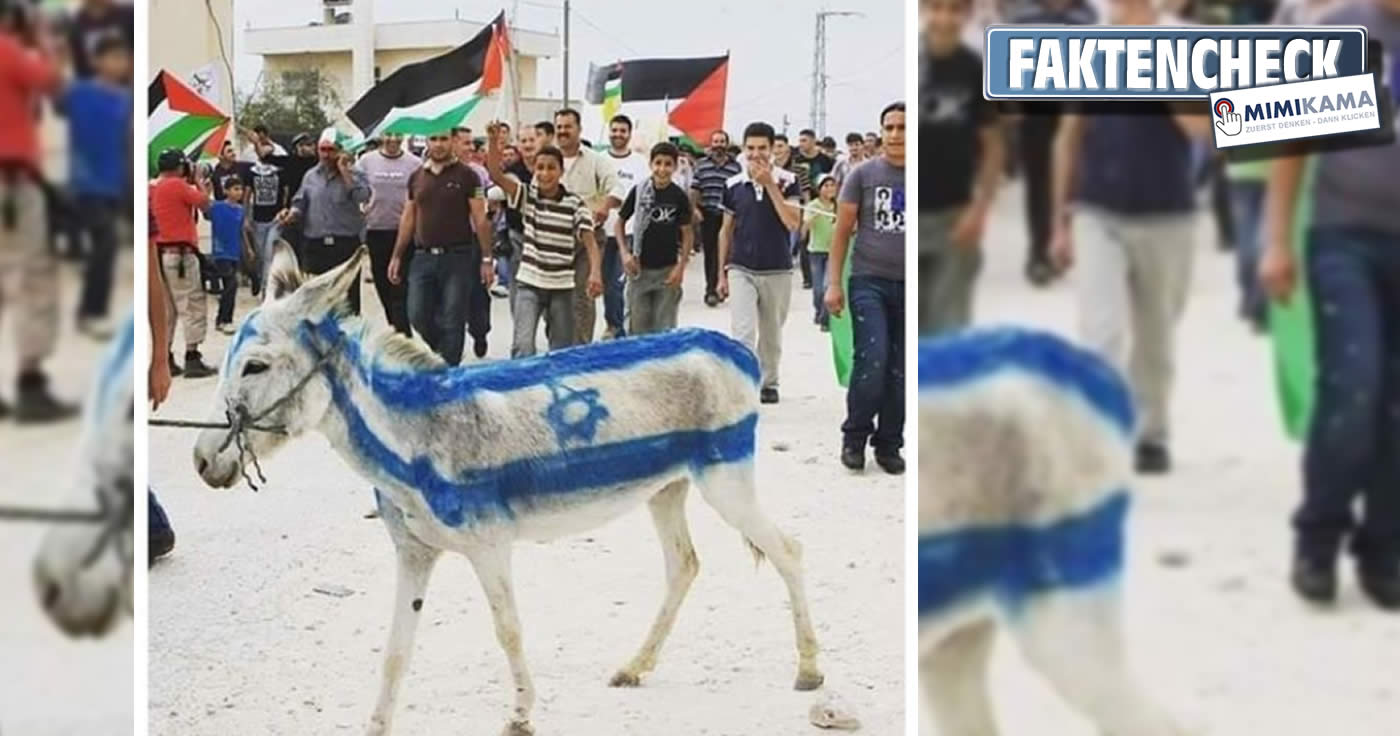 Esel mit aufgemalter Israel-Flagge