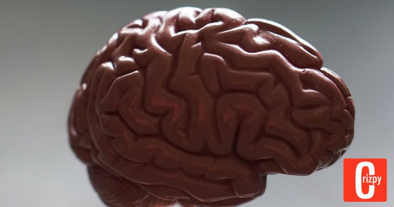 Neue Gehirnfunktion erforscht: Bessere Behandlung für Alzheimer und Depressionen möglich
