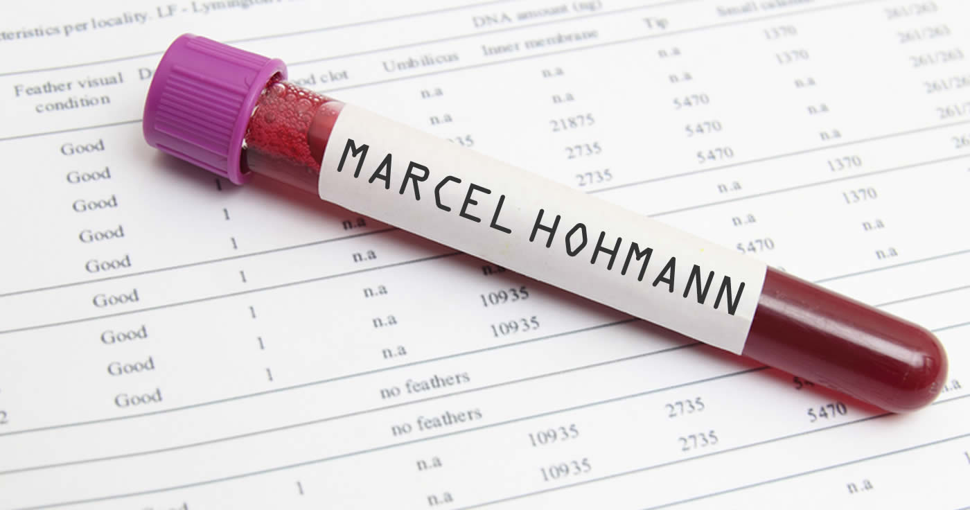 Der böse Virus Marcel Hohmann