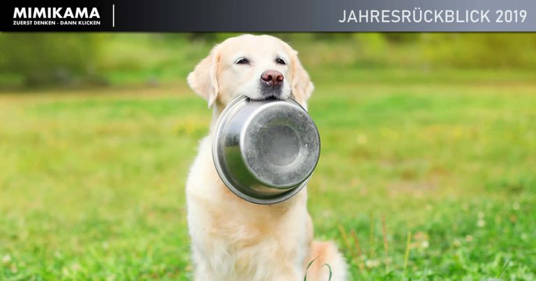 Jahresrückblick 2019: Folgende Lebensmittel sollten Hunde nicht fressen (Faktencheck)