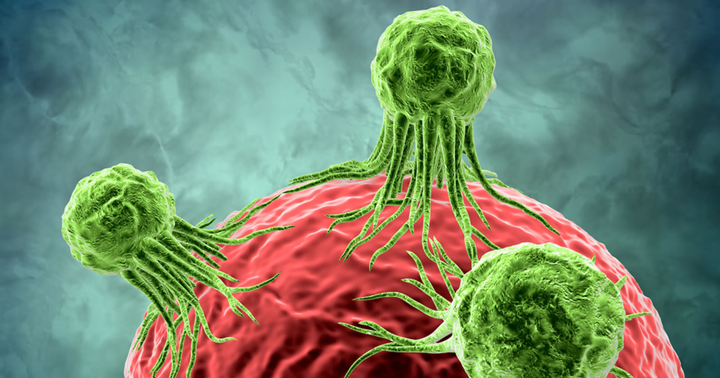Wurden Krebszellen in Impfstoffen entdeckt?