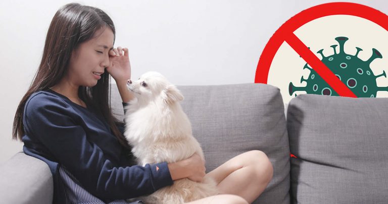 Coronavirus: Ordnet China die Tötung von Haustieren an? (Faktencheck)