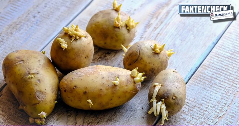 Sind keimende Kartoffeln giftig? (Faktencheck)