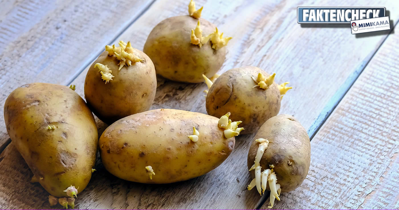 Sind keimende Kartoffeln giftig?