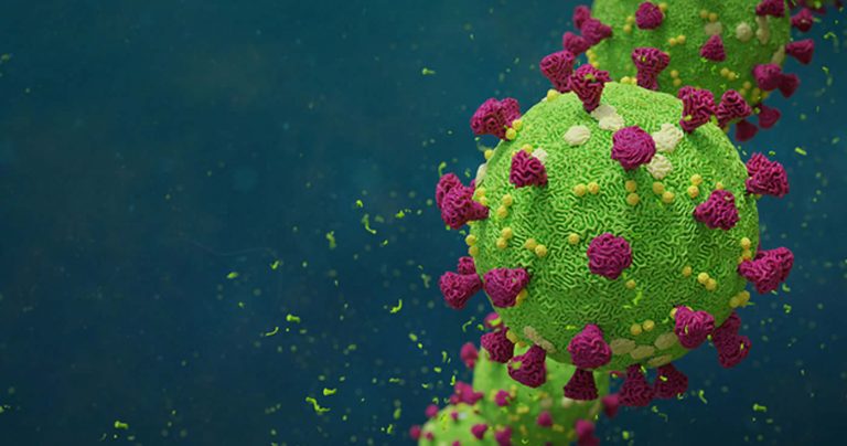 Warum das neue Coronavirus nicht aus einem Labor kommen kann