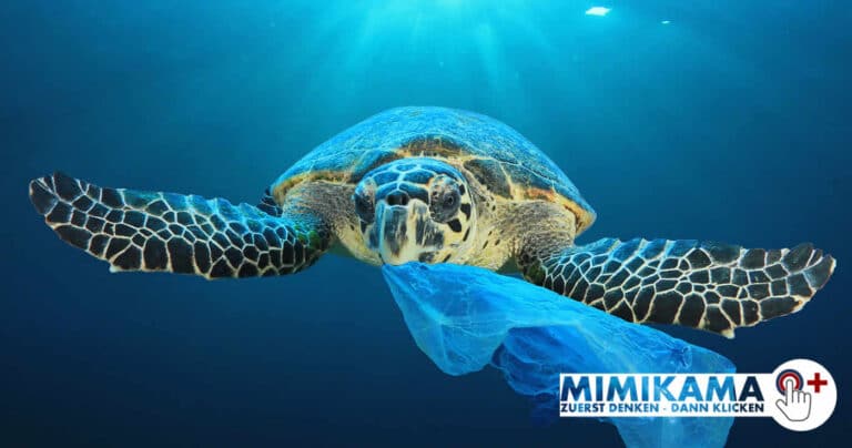 Verführerischer Geruch des Todes – Meeresschildkröten und Plastik
