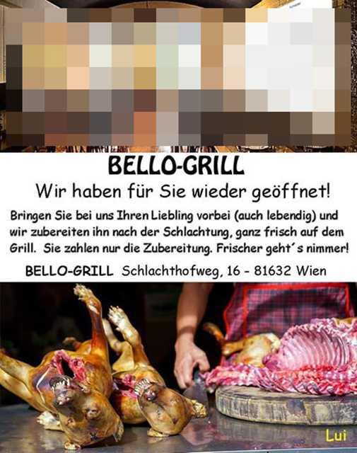 Bello-Grill
