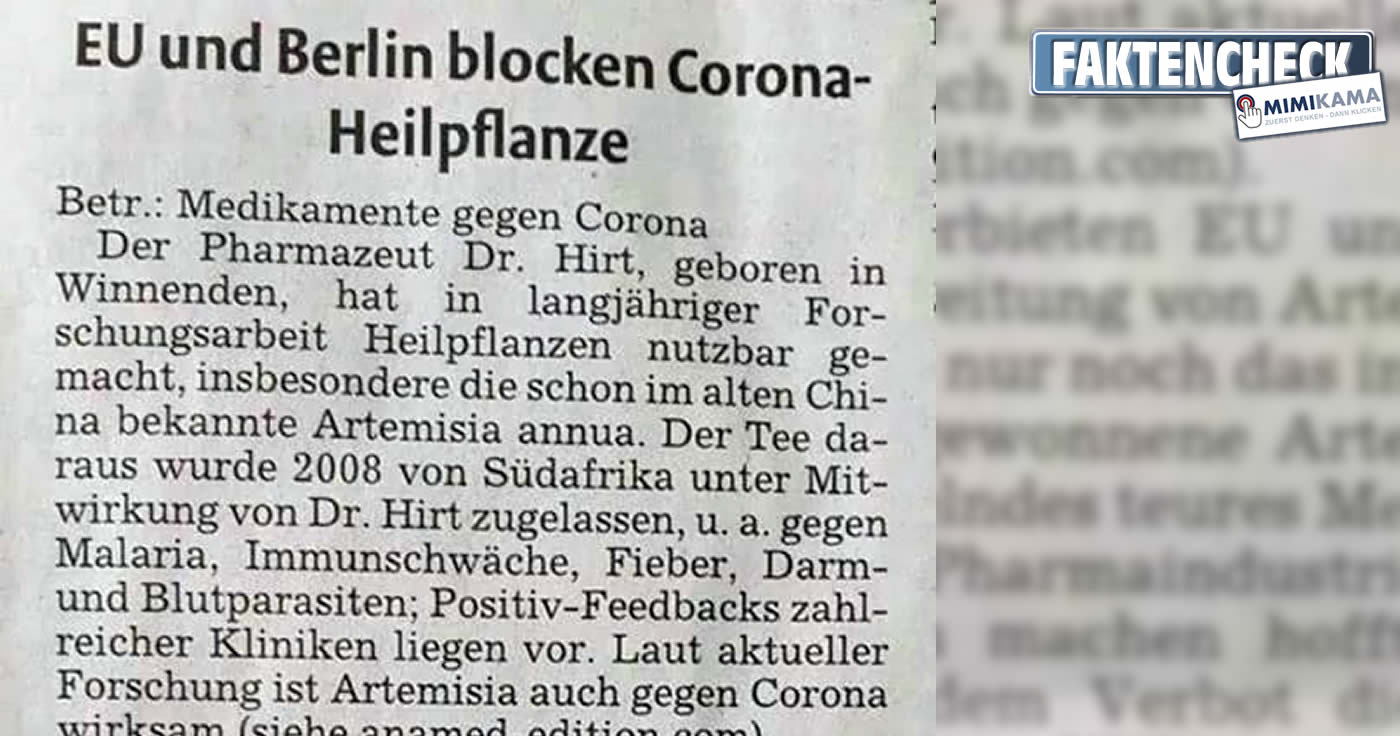 Faktencheck: Blockieren Berlin und die EU eine Corona-Heilpflanze?