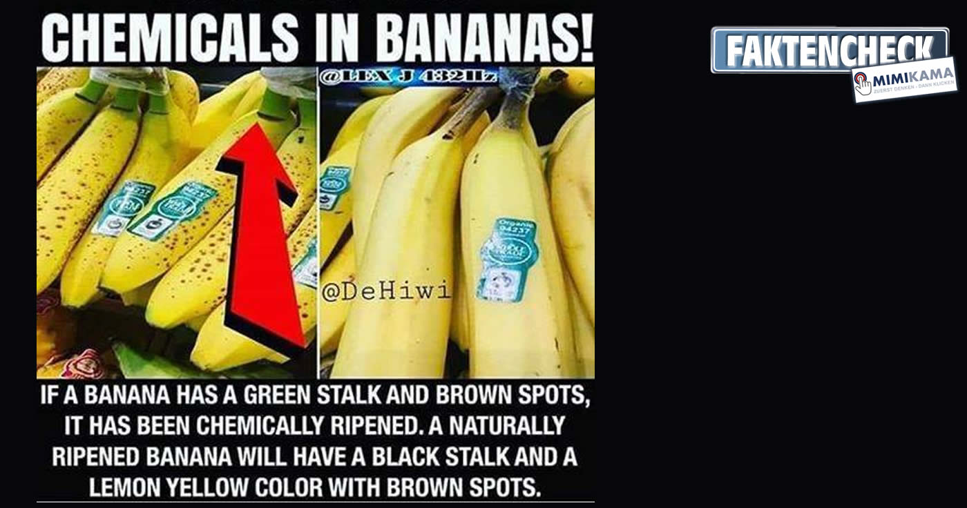 Bananen und ihr Stiel