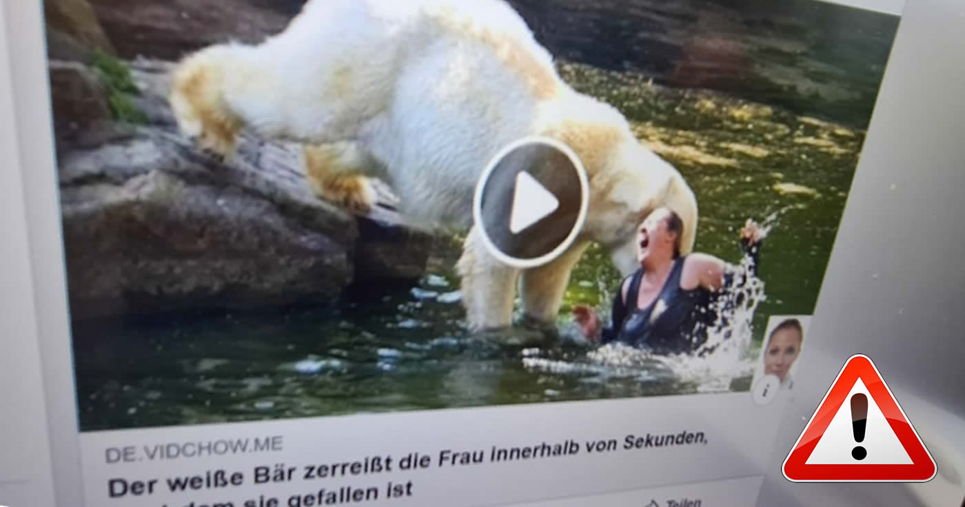 Facebook-Falle: Das Video mit dem Eisbären und der Frau