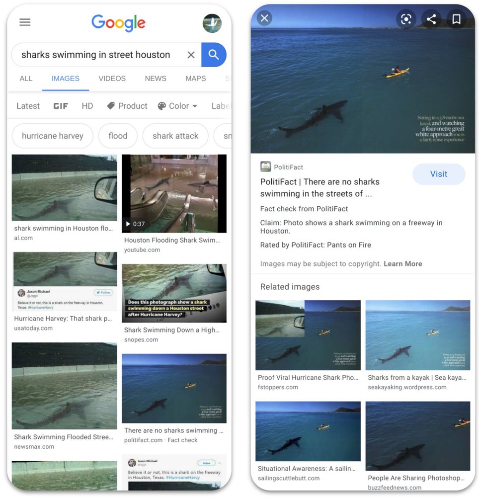 Google labelt Bilder