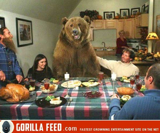 Screenshot Gorillafeed - Grizzly samt Menschenfamilie