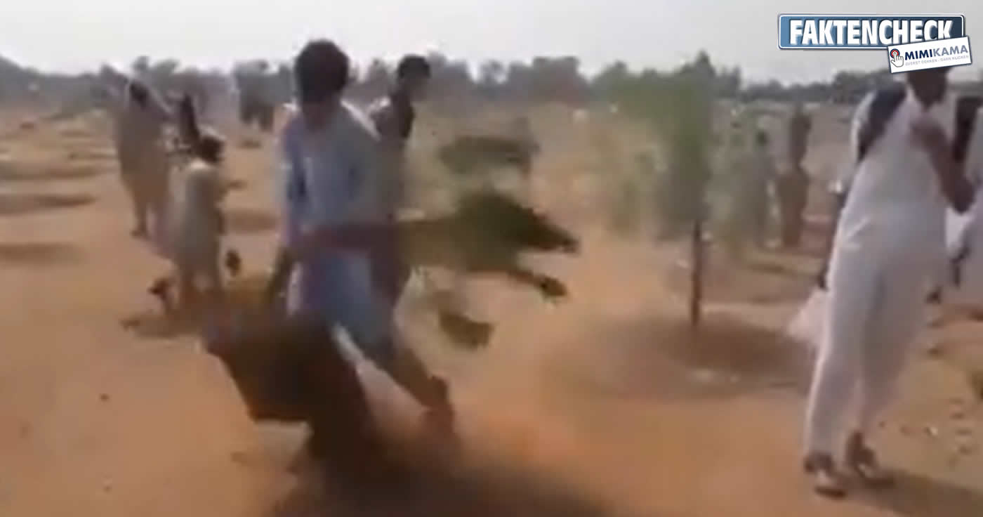 Video: "Bäume pflanzen ist gegen den Islam" (Faktencheck)