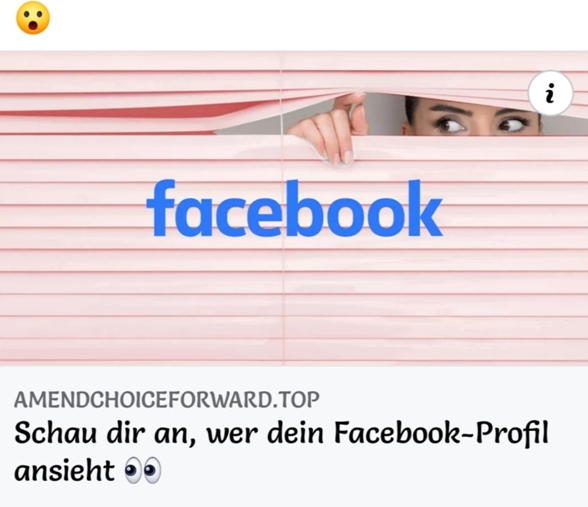 Screenshot / Statusbeitrag / Profilviewer