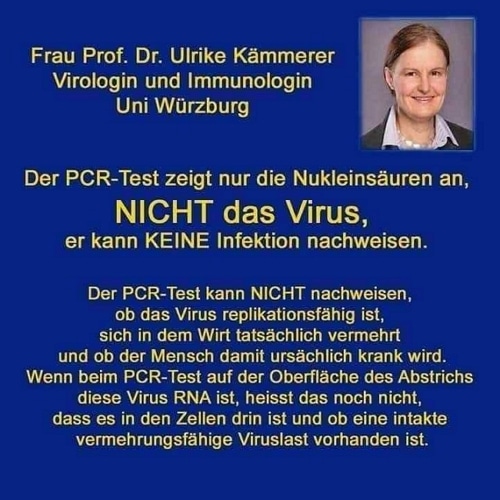 Prof. Dr. Ulrike Kämmerer