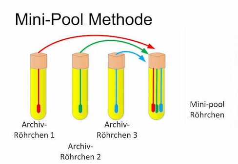 Die Mini-Pool Methode