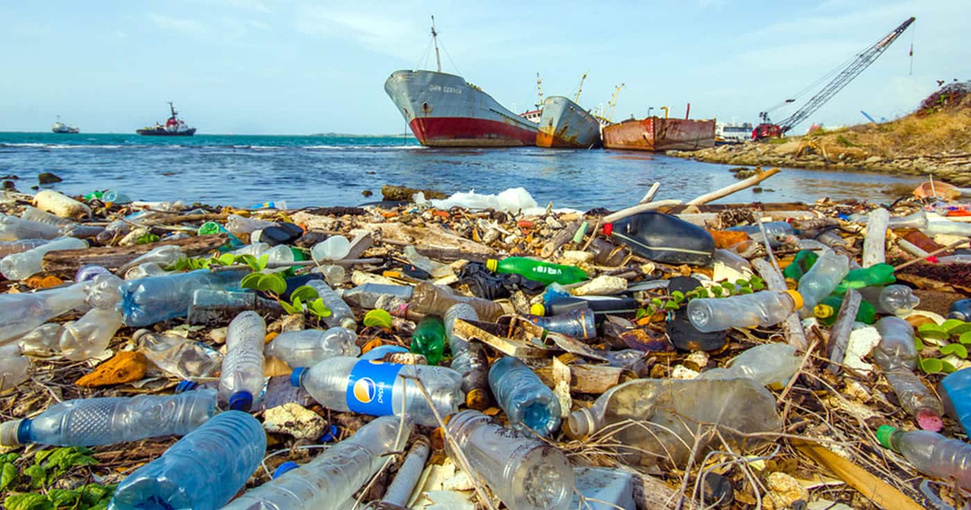 Plastik im Meer bedeutet für viele Tiere den Tod