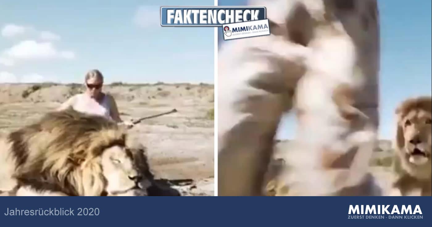 Jahresrückblick 2020: Video zeigt Paar, das vermeintlich von Löwen angegriffen wird