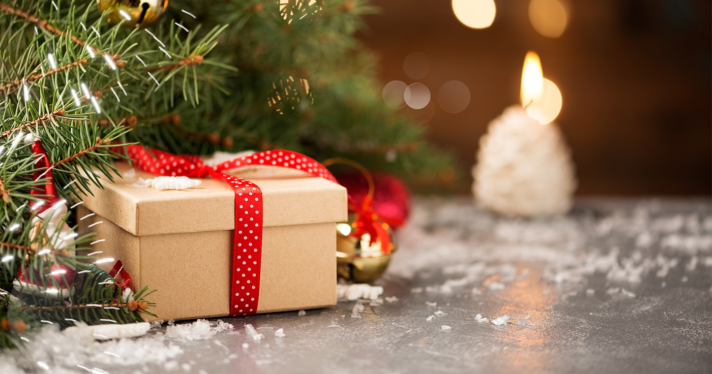 Geschenk unterm Weihnachtsbaum - Artikelbild: nelea33 / Shutterstock