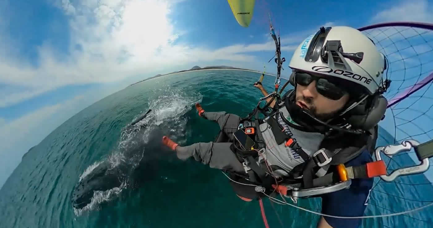 Video-Ausflug aus dem Lockdown: Motorschirmflieger trifft Blauwale