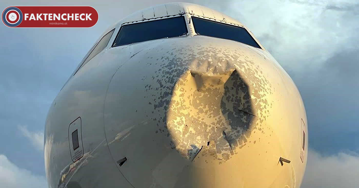 Flugzeug musste wegen massivem Schaden durch Vögel notlanden? (Faktencheck)