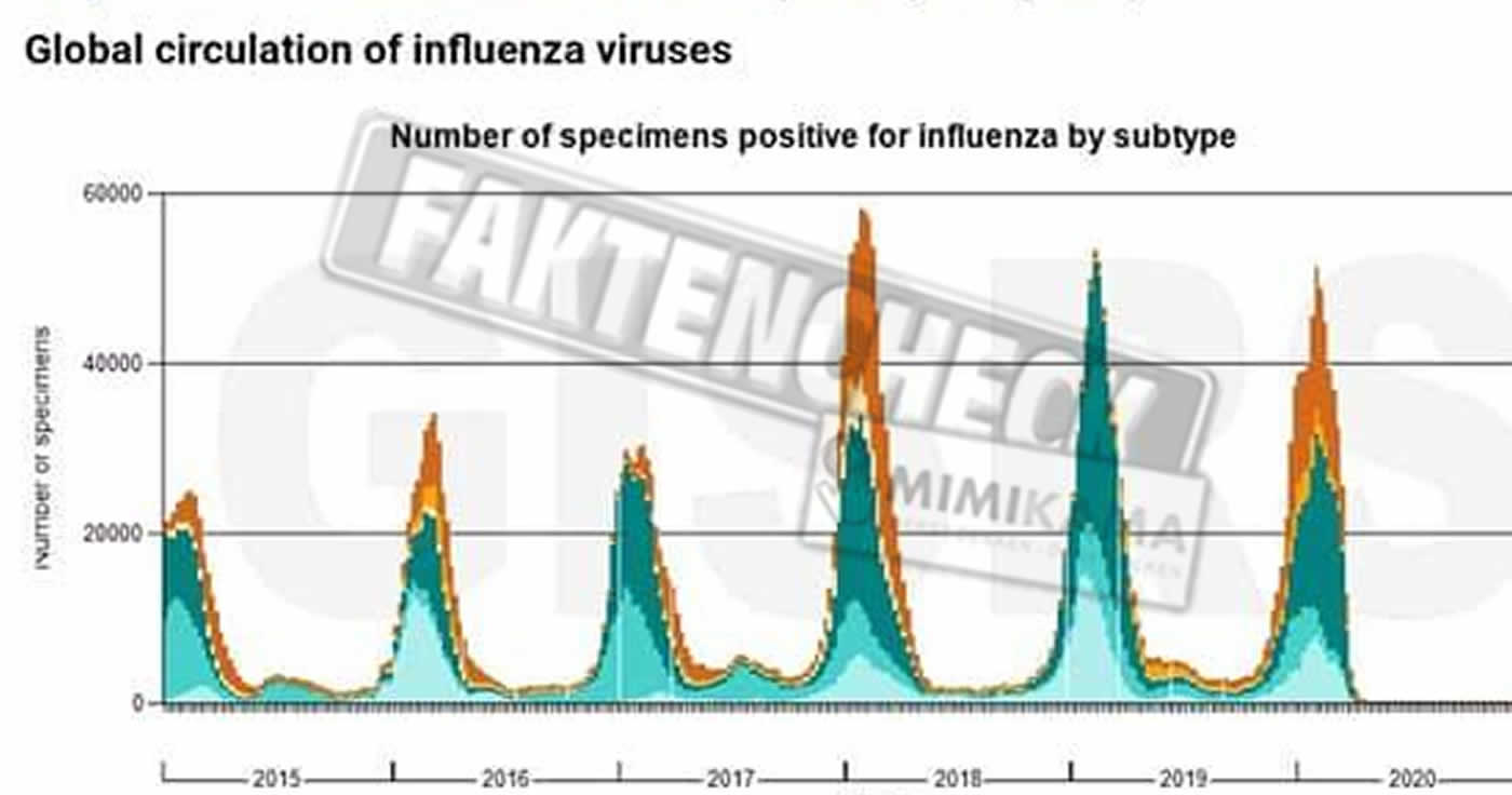 Grippe: Statistik WHO