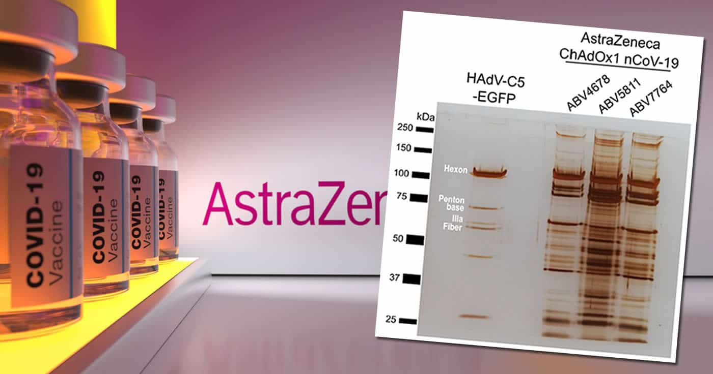 Verunreinigungen im AstraZeneca-Impfstoff entdeckt