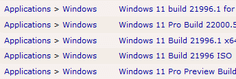 Windows 11 auf Torrent-Seiten