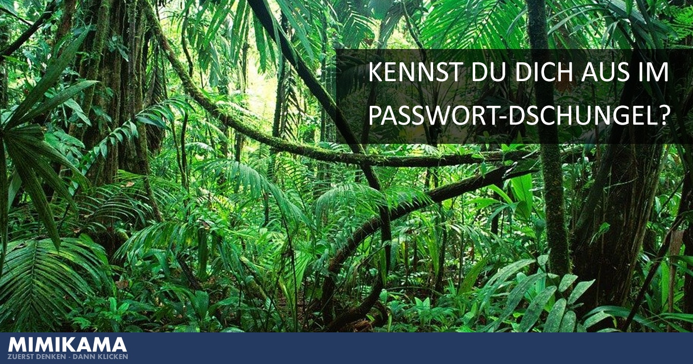 Durchblick im Passwort-Dschungel?
