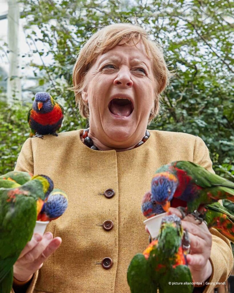 Merkel fütterte die Pipmätze mit „Lori-Nektar“ aus Pappbechern.