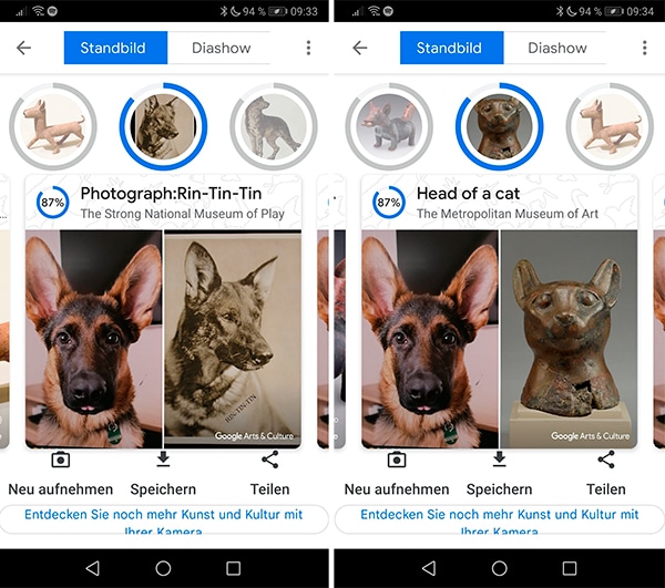 Screenshot Google Arts & Culture Pet Portraits Ergebnisse