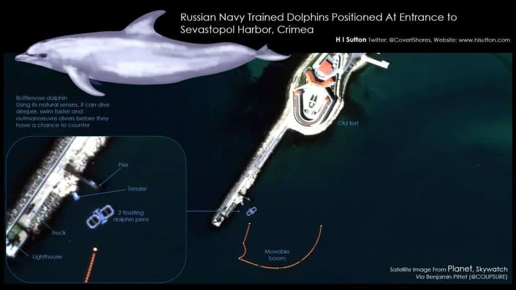 Von der russischen Marine ausgebildete Delfine am Eingang des Hafens von Sewastopol, Krim - Sateliitenbild von Planet, Skywatch