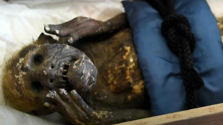 Das steckt hinter der Meerjungfrau-Mumie aus Japan